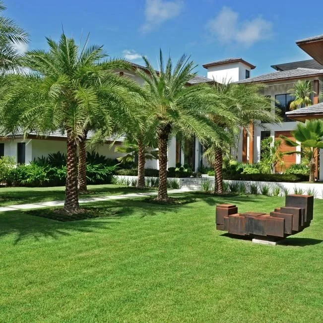 front yard landscaping around palm trees